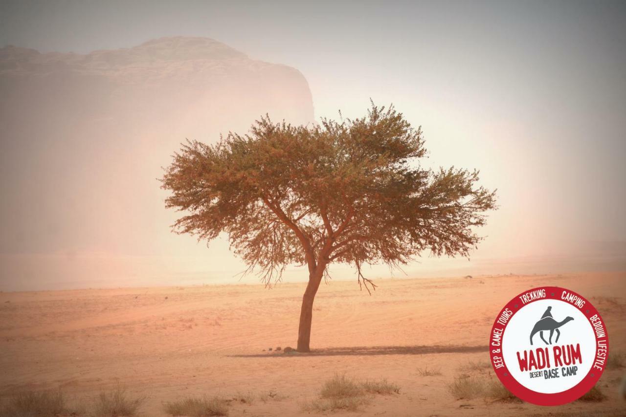 Wadi Rum Desert Base Camp 外观 照片